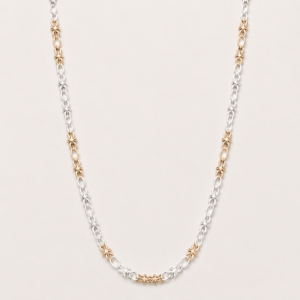 Two-Tone Chain