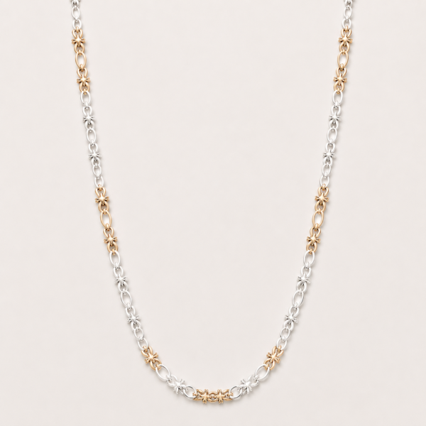 Two-Tone Chain