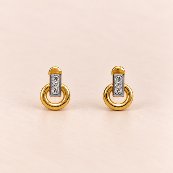 ER23 F Charm Studs