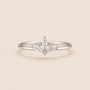 Classy Crown